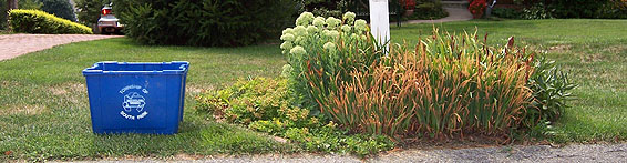 Refuse, Recycling & Sewer